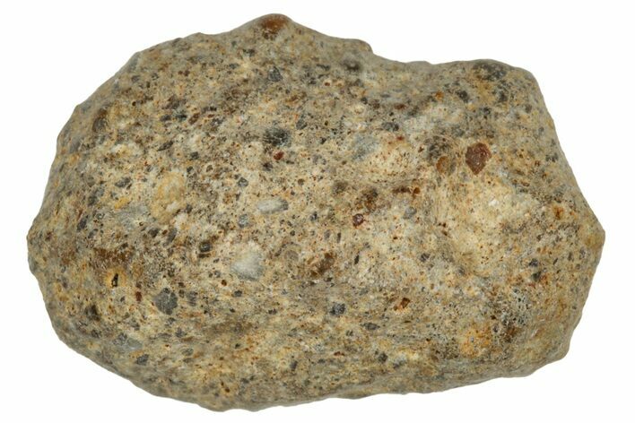 Lunar Meteorite ( g) - NWA #303676